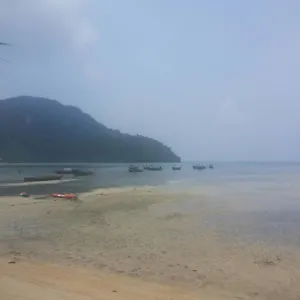Backpacker Phi Phi Don